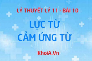 Lực từ là gì? Vecto cảm ứng từ là gì? Công thức tính lực từ và Quy tắc bàn tay trái xác định chiều của lực - Vật lý 11 bài 20